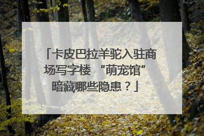 卡皮巴拉羊驼入驻商场写字楼 “萌宠馆”暗藏哪些隐患？